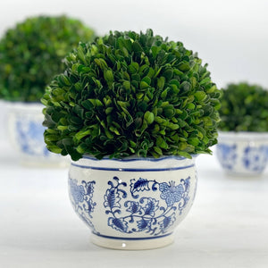 Boxwood Ball Topiary in Round Bulb Blue & White Ceramic Pot: Medium
